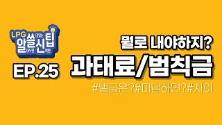 과태료와 범칙금 도대체 뭘로 내야 할까│알쓸신팁 EP25 [upl. by Vano]