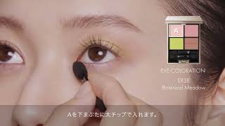 ルナソル LUNASOL EYE COLORATION EX38 How To Use [upl. by Kama]