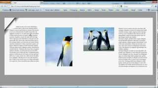 PDF zum blättern InDesign CS5 Tutorial Page Flipping [upl. by Haym]