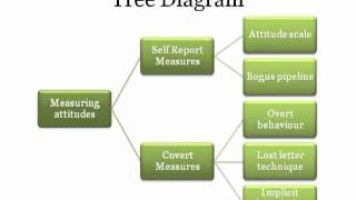 Concept Maps  A Visual Study Tool [upl. by Agnew]