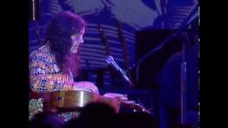 David Lindley amp Ry Cooder Mercury Blues [upl. by Aleras]