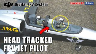 RC JET PILOTING FROM THE COCKPIT  FREEWING L39 DJI DIGITAL FPV WITH HEAD TRACKING  PILOT GUI [upl. by Sherard]