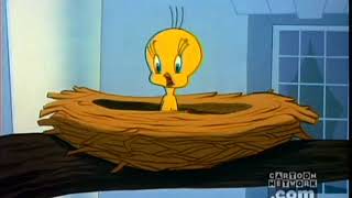 I Tawt I Taw a Puddy Tat Tweety Compilation [upl. by Yekcor]