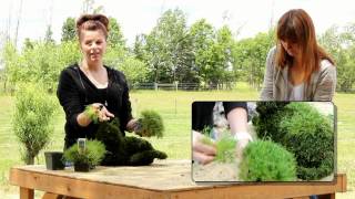 Planting Your Green Piece Wire Art Topiary [upl. by Caravette]