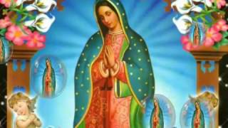 Virgen de Guadalupe La Guadalupana [upl. by Anrapa308]