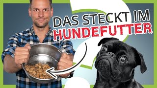 Was steckt wirklich im HUNDEFUTTER Die unbequeme Wahrheit [upl. by Attenaej483]