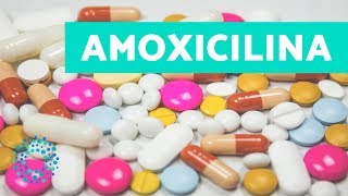 AMOXICILINA para que sirve  COMO TOMAR AMOXICILINA 500 mg [upl. by Acinemod]