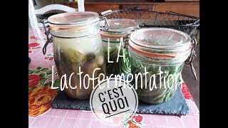 La LACTOFERMENTATION  Méthode et conserves de Haricots verts [upl. by Ayekehs]