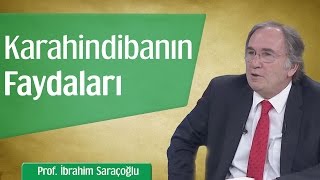 Karahindibanın Mucizevi Faydaları  Prof İbrahim Saraçoğlu [upl. by Artimid]