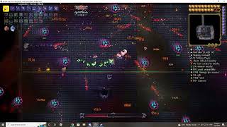 Terraria Calamity Mod  Beating Ceaseless Void On Master Revengeance Mode [upl. by Roslyn]