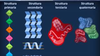 Citologia 08  Proteine [upl. by Aromat715]