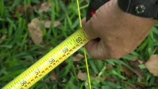 How to Level the Ground for a Shed [upl. by Gloria]