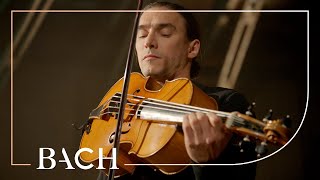 Bach  Cello Suite no 6 in D major BWV 1012  Malov  Netherlands Bach Society [upl. by Gibeon]