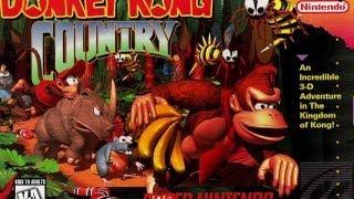 Donkey Kong Country Video Walkthrough [upl. by Erodasi536]