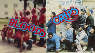 Bloods amp Crips History and Origins [upl. by Severin]