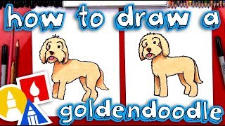 How To Draw A Goldendoodle [upl. by Rusticus]