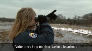 Welcome Video  Edwin B Forsythe National Wildlife Refuge  Closed Captioned [upl. by Yelyr107]