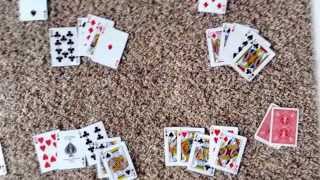 How to play Euchre Part 24 [upl. by Gagne]