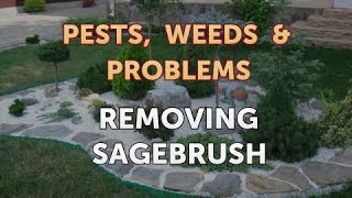 Removing Sagebrush [upl. by Genia]