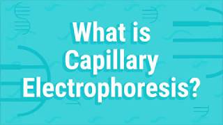 What Is Capillary Electrophoresis [upl. by Reisfield]