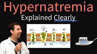 Hypernatremia Explained Clearly  Pathophysiology amp Treatment [upl. by Carlina]