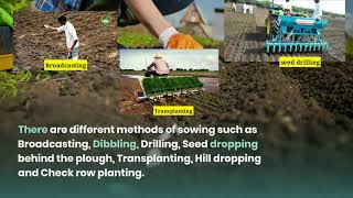 Methods of sowing  Broadcasting Dibbling Drilling  Transplanting Hill dropping etc [upl. by Rollo]