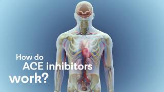 How do ACE inhibitors work [upl. by Elleb]