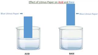 ACID AND BASE LITMUS PAPER LITMUS PAPER TEST in English [upl. by Aiuqes573]