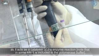 PCR Master Mix preparation and RTPCR [upl. by Takara]