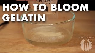 How to Bloom Gelatin  Tutorial Video [upl. by Salas666]