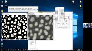 Introduction to Image Analysis with ImageJ  Segmentation Threshold [upl. by Therine]