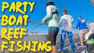 Destin Offshore Party Boat Fishing  Multiple Species on Fishbites [upl. by Jepum555]