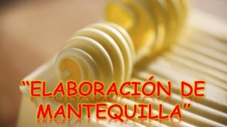 PROCESO DE ELABORACIÓN DE MANTEQUILLA  ProcesosProductivos [upl. by Orfurd]