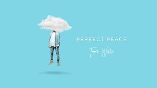 Tauren Wells  Perfect Peace Visualizer [upl. by Akined]