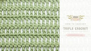 How To Crochet A Triple Crochet US Terms  Easy Tutorial by Hopeful Honey [upl. by Naie496]