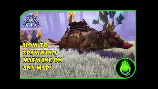 ARK  HOW TO GET A MAEWING ON ANY MAP [upl. by Anad]