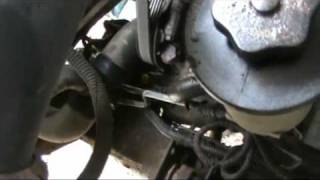 Ford Lower Power Steering Hose Replace [upl. by Hoag]