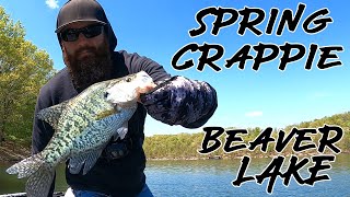 Spring Beaver Lake Crappie Fishing [upl. by Kirtap771]