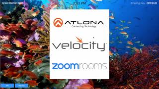 Atlona Velocity Zoom Integration [upl. by Arria]