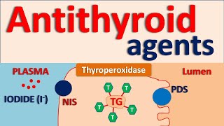 Antithyroid agents [upl. by Seroka]