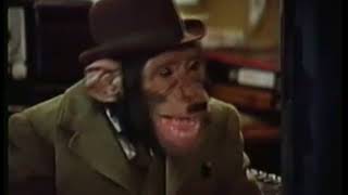 PG Tips Chimps Adverts Full collection [upl. by Norb]