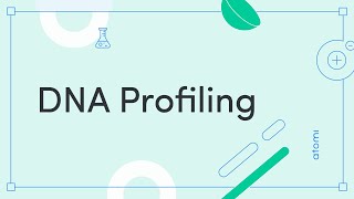 Y1112 Biology DNA Profiling [upl. by Dnalyk266]