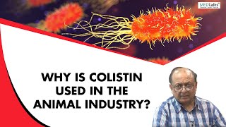 Dr Sunil Gupta  why is colistin used in animal industry [upl. by Webber402]