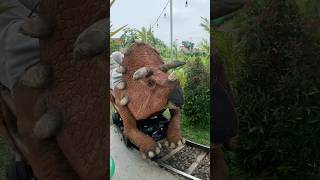 NAIK KERETA DINOSAURUS TRICERATOP BARENG ADEK KAKA [upl. by Brendis]