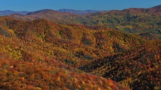 Tennessee Viewfinders for the Colorblind  TN Vacation [upl. by Sheeb607]