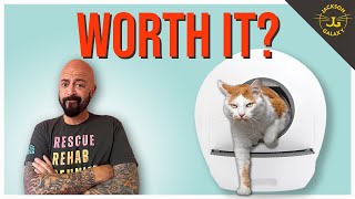 The Truth About Automatic Litter Boxes [upl. by Notsla]