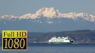 Bremerton Ferry ⛴  Seattle Day Trip [upl. by Amand904]