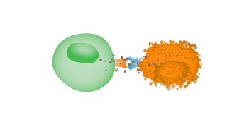 Oncolytic Virus Therapy Dynamite for Cancer Cells [upl. by Eanar]